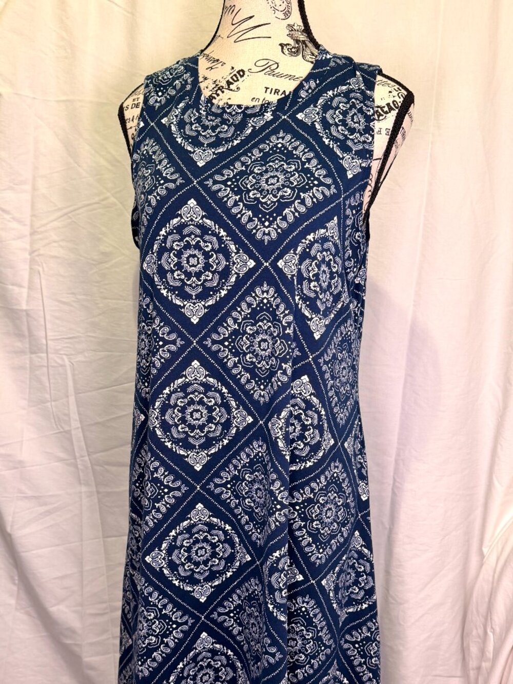 Fortune + Ivy Blue Bandana Print Swing Dress Size Large Sleeveless Boho